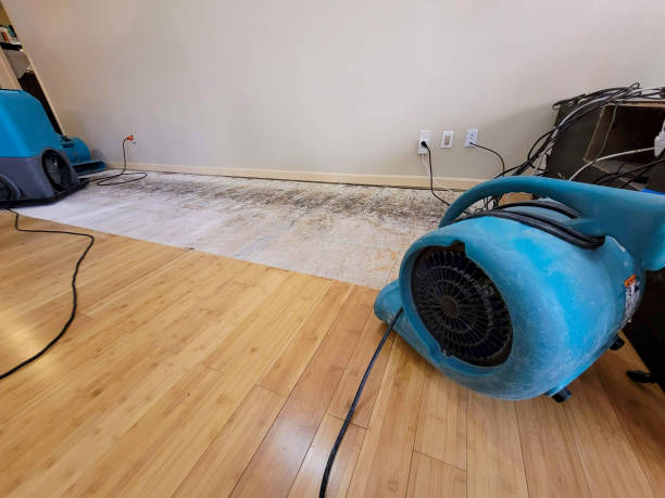 Professional Flood Damage Cleanup technician working in Chicora, PA